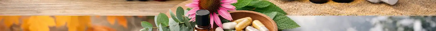 Seasonal Wellness Guide for Simple Daily Support