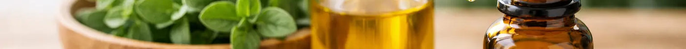 Can You Take Oregano Oil Daily?