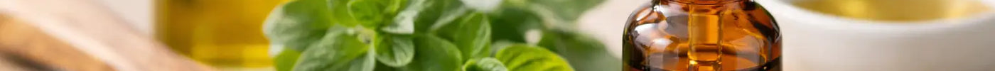 Guide to Oregano Oil Supplement Dosages