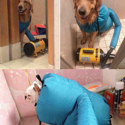 Pet Drying Box, Dryer, and Drying Bag