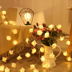 New Warm / USB Model / 1.5m/10-light