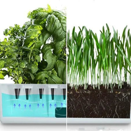 Smart Hydroponic Planter - Lamarshop1
