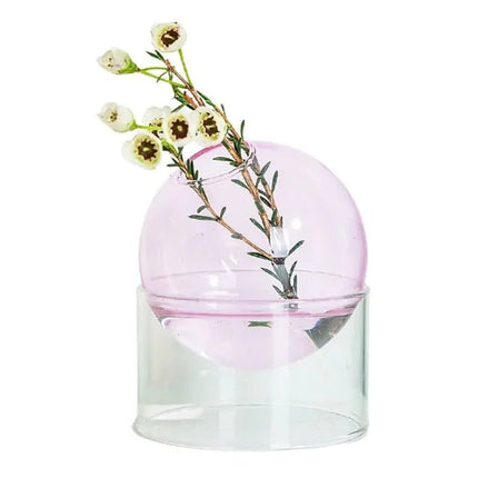Hydroponic Glass Vase - Lamarshop1