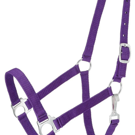 Tough 1 Tough-1 Economy Halter Purple Horse