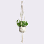 Cotton wood ring chain -105
