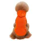 Orange / S