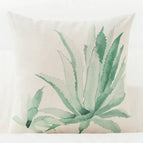 Aloe