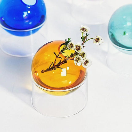 Hydroponic Glass Vase - Lamarshop1