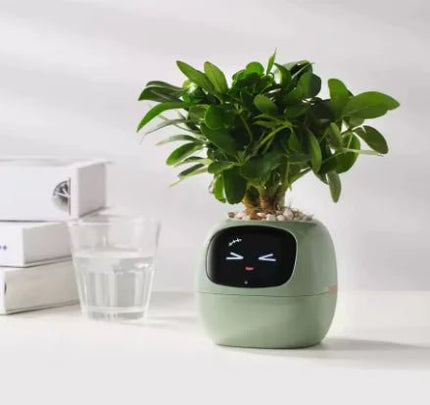 Smart Planter with Rich Expressions - Lamarshop1