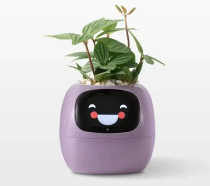 Smart Planter with Rich Expressions - Lamarshop1