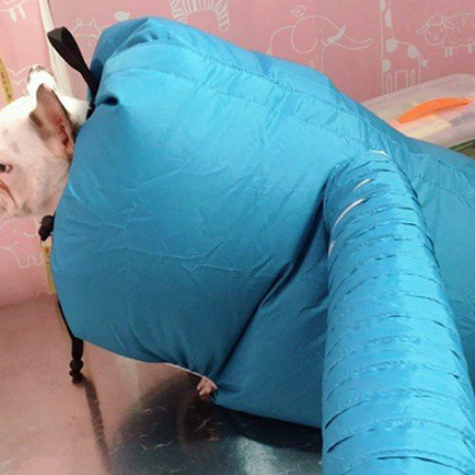 Pet Drying Box, Dryer, and Drying Bag