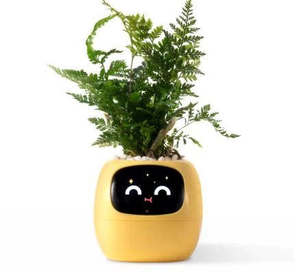 Smart Planter with Rich Expressions - Lamarshop1