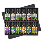 10ML 12 PCsbox