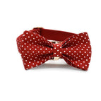 Bow Collar / S