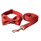 Bow set / M
