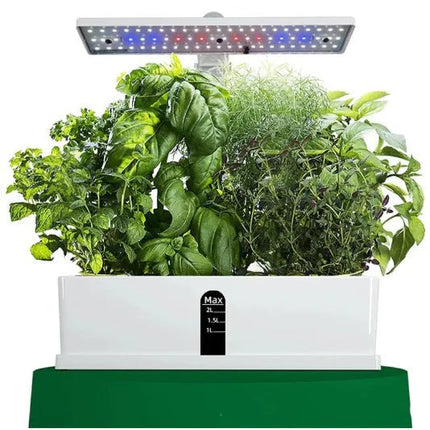 Smart Hydroponic Planter - Lamarshop1