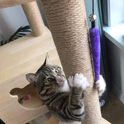Retractable Cat Feather Toy for Indoor Cats - Lamarshop1