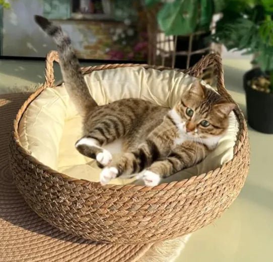 Handmade Pet House - Lamarshop1