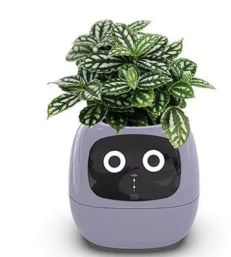Smart Planter with AI - Lamarshop1
