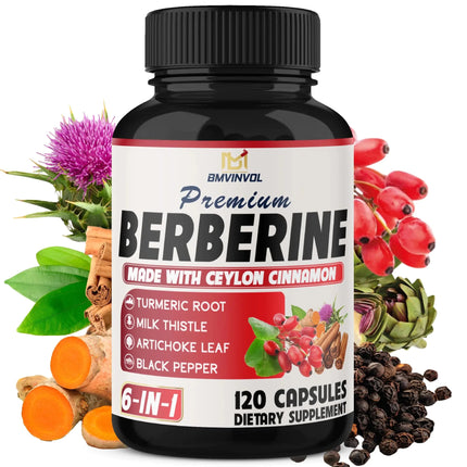 BMVINVOL 6in1 Berberine Supplement with Ceylon Cinnamon Tumeric Root Milk Thistle Artichoke Black Pepper - 120 Capsules for 4 Month Supply - Lamarshop1