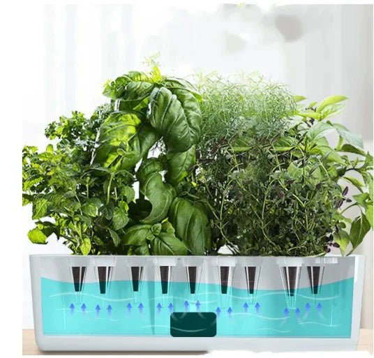 Smart Hydroponic Planter - Lamarshop1